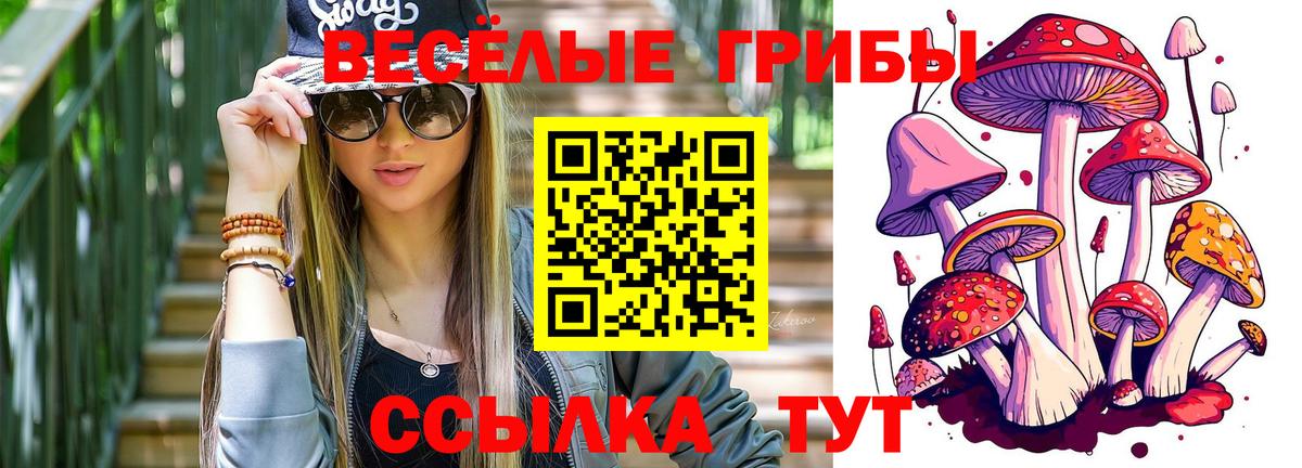 Галлюциногенные грибы Psilocybine cubensis Шатура