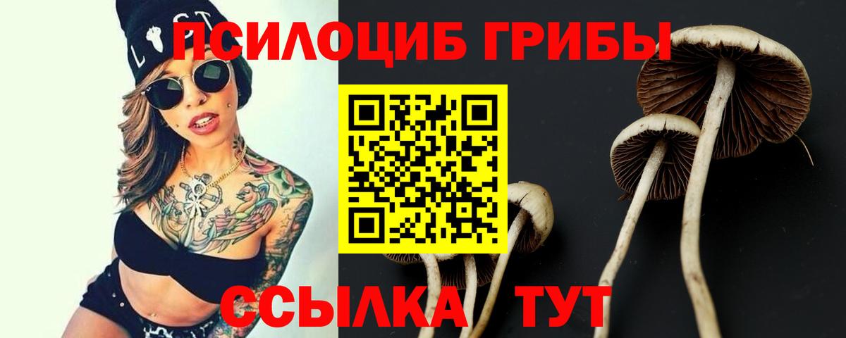 Галлюциногенные грибы MAGIC MUSHROOMS  где купить наркотик  Шатура  Вход с VPN 